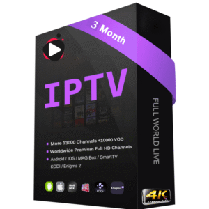 3 Months TiviStation 1 Connection